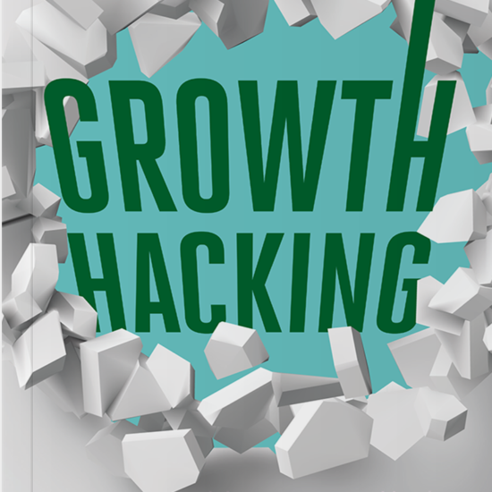 Growth Hacking Jak pomaga pozyskiwać nowych klientów i utrzymywać obecnych
